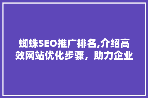蜘蛛SEO推广排名,介绍高效网站优化步骤，助力企业腾飞