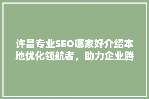 许昌专业SEO哪家好介绍本地优化领航者，助力企业腾飞！