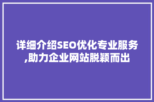 详细介绍SEO优化专业服务,助力企业网站脱颖而出