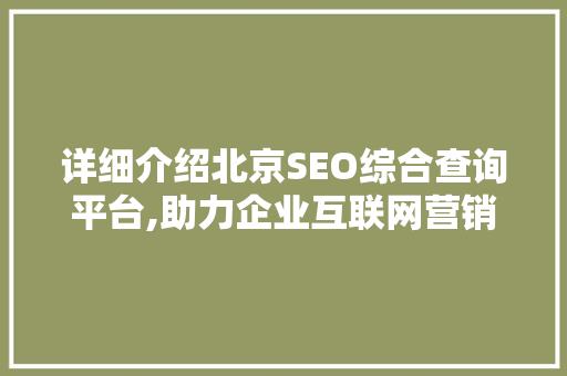 详细介绍北京SEO综合查询平台,助力企业互联网营销新突破