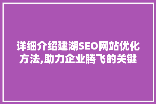 详细介绍建湖SEO网站优化方法,助力企业腾飞的关键步骤