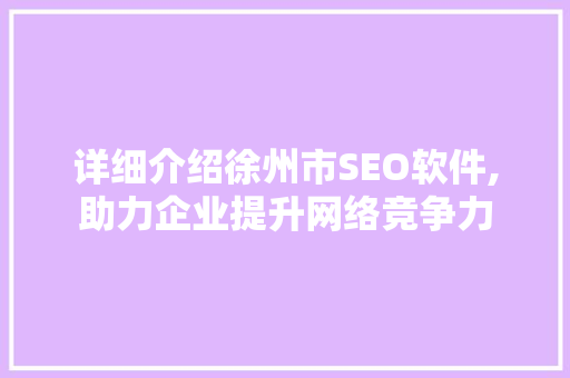 详细介绍徐州市SEO软件,助力企业提升网络竞争力