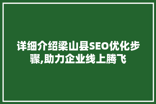 详细介绍梁山县SEO优化步骤,助力企业线上腾飞