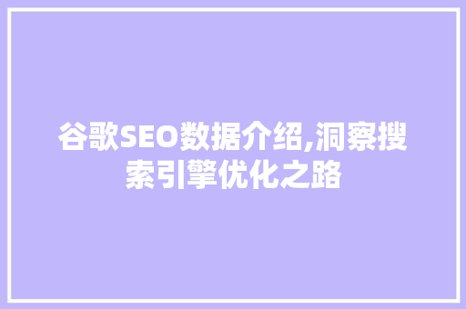 谷歌SEO数据介绍,洞察搜索引擎优化之路