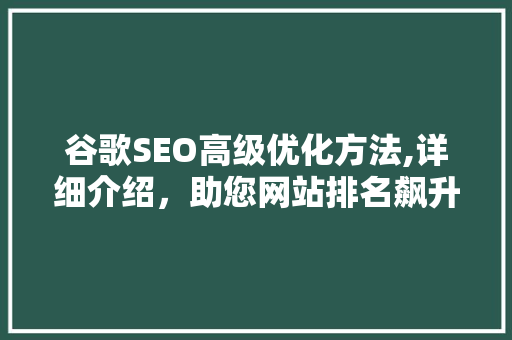 谷歌SEO高级优化方法,详细介绍，助您网站排名飙升