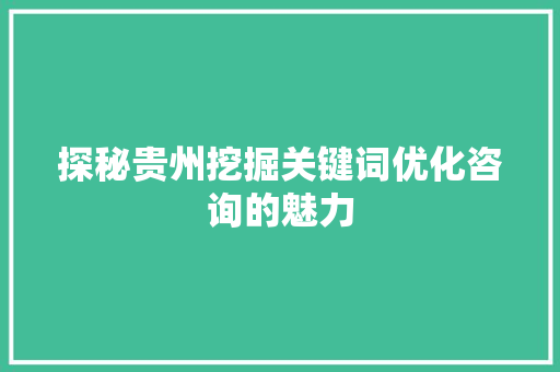 探秘贵州挖掘关键词优化咨询的魅力