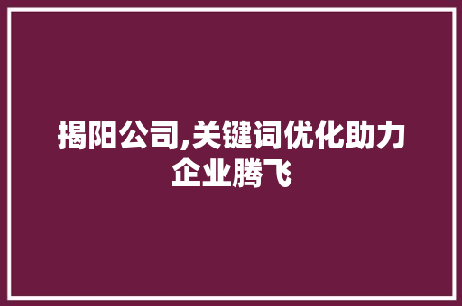 揭阳公司,关键词优化助力企业腾飞
