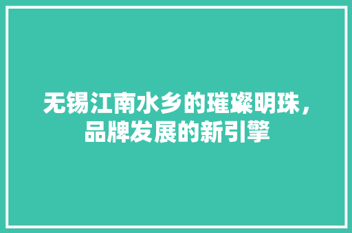 无锡江南水乡的璀璨明珠，品牌发展的新引擎