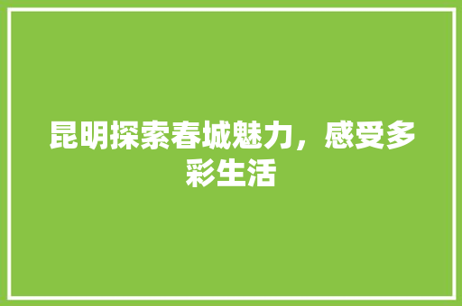 昆明探索春城魅力，感受多彩生活