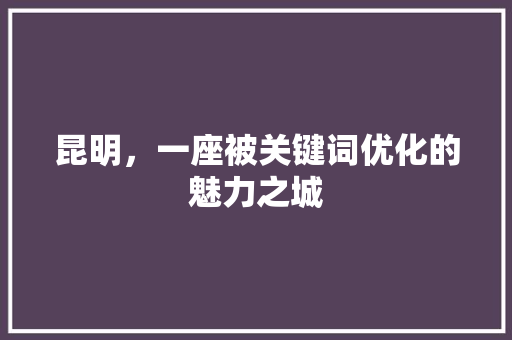 昆明，一座被关键词优化的魅力之城