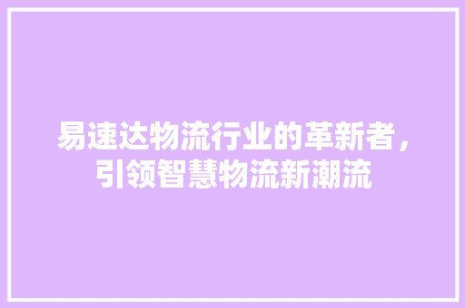 易速达物流行业的革新者，引领智慧物流新潮流