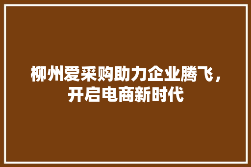 柳州爱采购助力企业腾飞，开启电商新时代