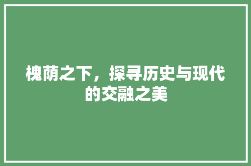 槐荫之下，探寻历史与现代的交融之美