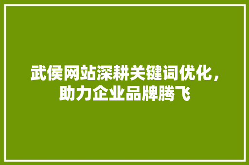 武侯网站深耕关键词优化，助力企业品牌腾飞