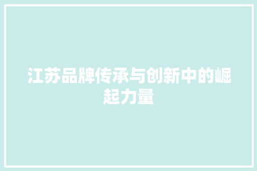 江苏品牌传承与创新中的崛起力量