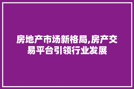 房地产市场新格局,房产交易平台引领行业发展