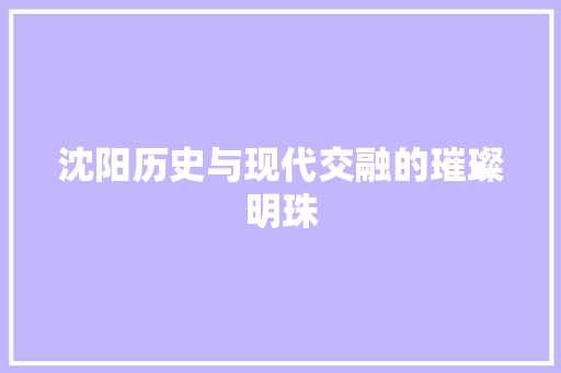 沈阳历史与现代交融的璀璨明珠