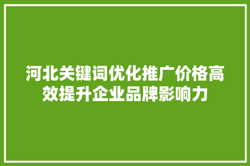 河北关键词优化推广价格高效提升企业品牌影响力
