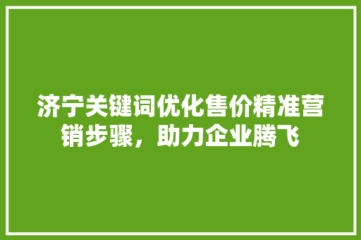 济宁关键词优化售价精准营销步骤，助力企业腾飞