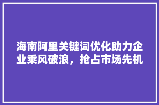 海南阿里关键词优化助力企业乘风破浪，抢占市场先机