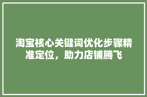 淘宝核心关键词优化步骤精准定位，助力店铺腾飞