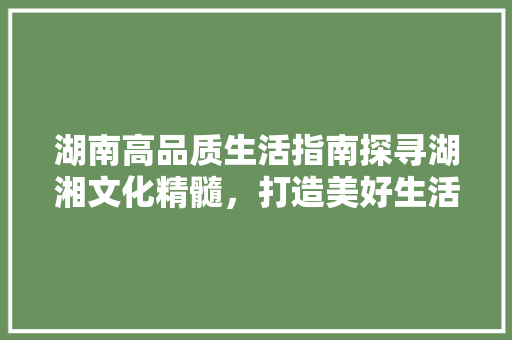湖南高品质生活指南探寻湖湘文化精髓，打造美好生活新篇章