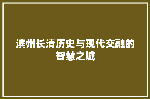 滨州长清历史与现代交融的智慧之城