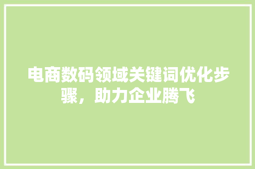 电商数码领域关键词优化步骤，助力企业腾飞