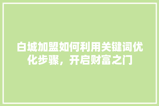白城加盟如何利用关键词优化步骤，开启财富之门