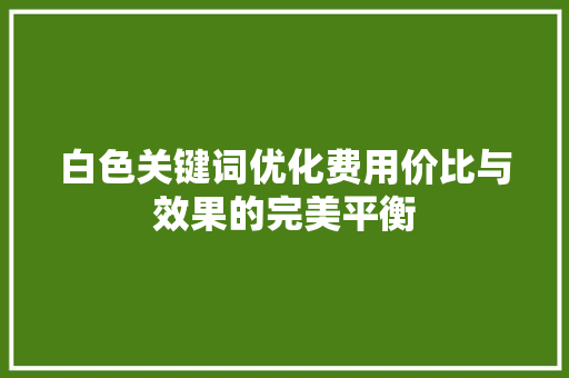 白色关键词优化费用价比与效果的完美平衡