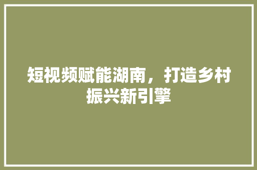 短视频赋能湖南，打造乡村振兴新引擎