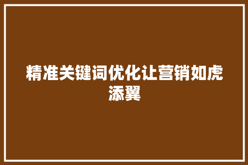 精准关键词优化让营销如虎添翼