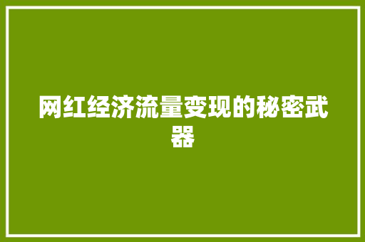 网红经济流量变现的秘密武器