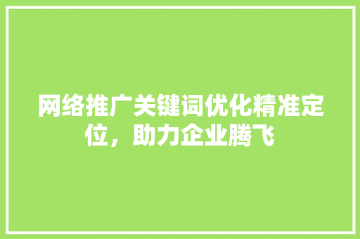 网络推广关键词优化精准定位，助力企业腾飞