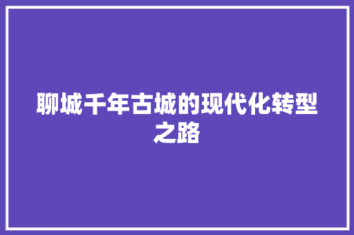 聊城千年古城的现代化转型之路