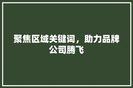 聚焦区域关键词，助力品牌公司腾飞