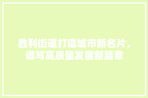 胜利街道打造城市新名片，谱写高质量发展新篇章