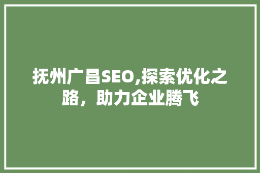 抚州广昌SEO,探索优化之路，助力企业腾飞 抚州广昌SEO,探索优化之路，助力企业腾飞 Web前端