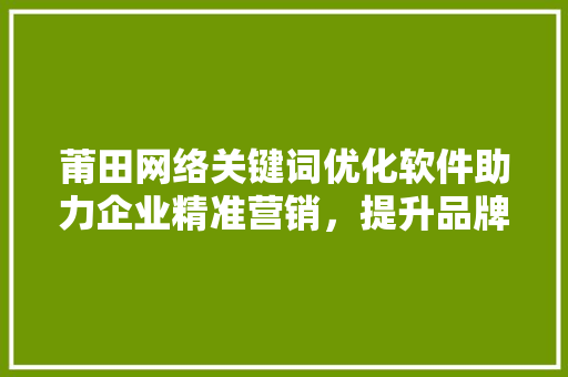 莆田网络关键词优化软件助力企业精准营销，提升品牌影响力 友链在线