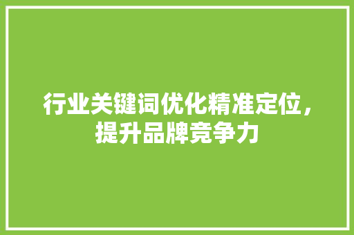 行业关键词优化精准定位，提升品牌竞争力