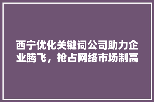西宁优化关键词公司助力企业腾飞，抢占网络市场制高点
