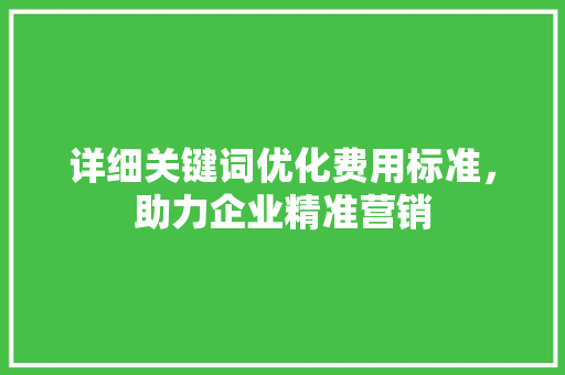 详细关键词优化费用标准，助力企业精准营销