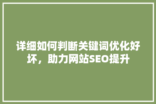 详细如何判断关键词优化好坏，助力网站SEO提升 WordPress教程
