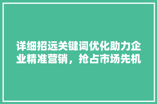 详细招远关键词优化助力企业精准营销，抢占市场先机