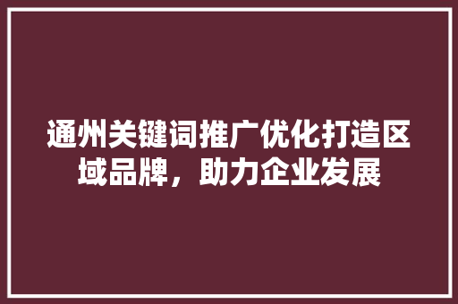 通州关键词推广优化打造区域品牌，助力企业发展