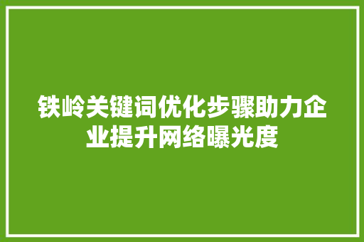 铁岭关键词优化步骤助力企业提升网络曝光度