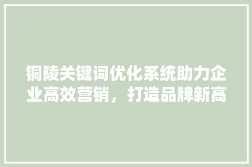 铜陵关键词优化系统助力企业高效营销，打造品牌新高度