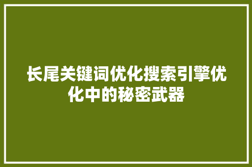 长尾关键词优化搜索引擎优化中的秘密武器
