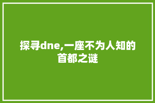 探寻dne,一座不为人知的首都之谜