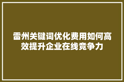 雷州关键词优化费用如何高效提升企业在线竞争力